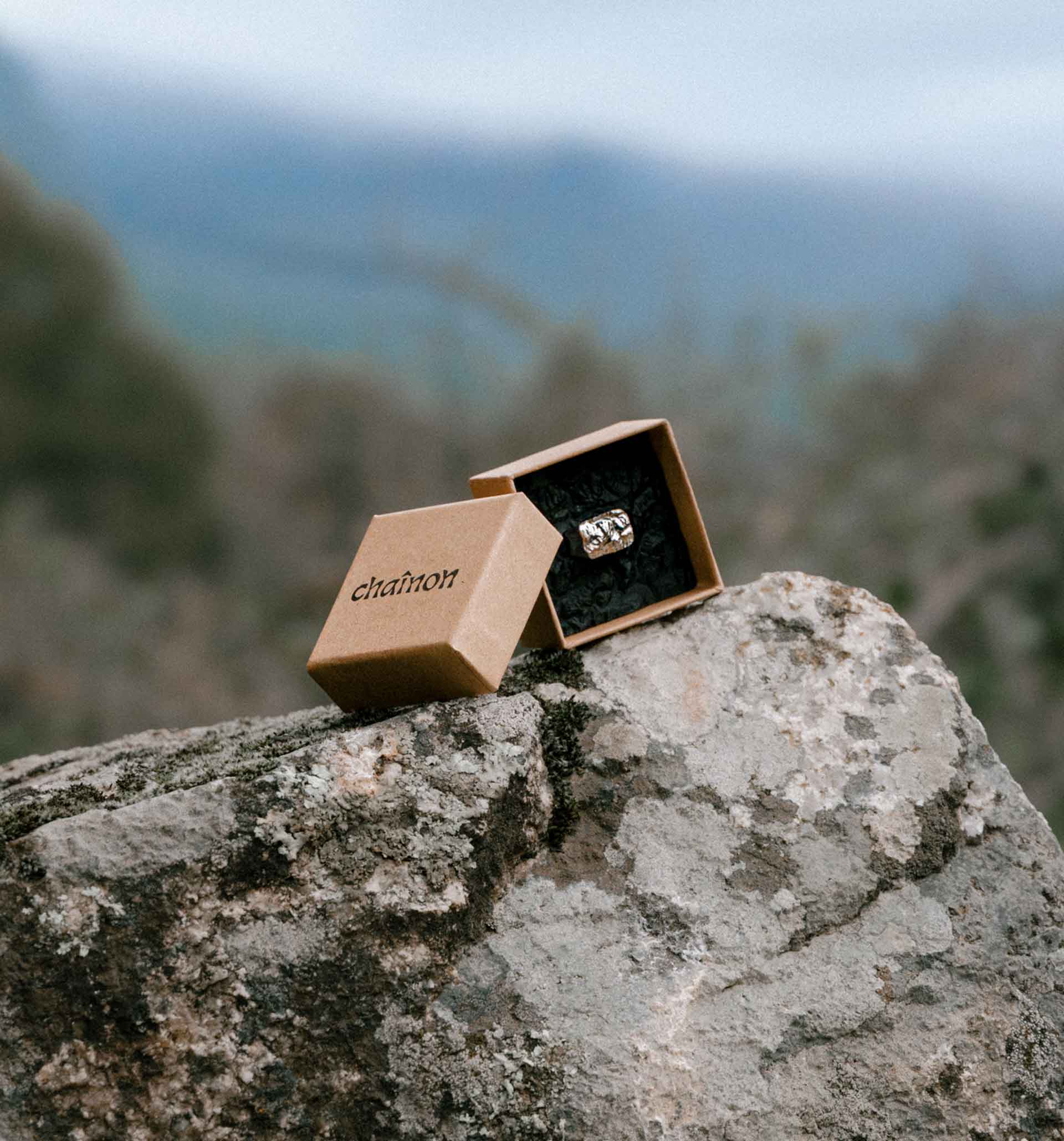 Bague et écrin à la montagne