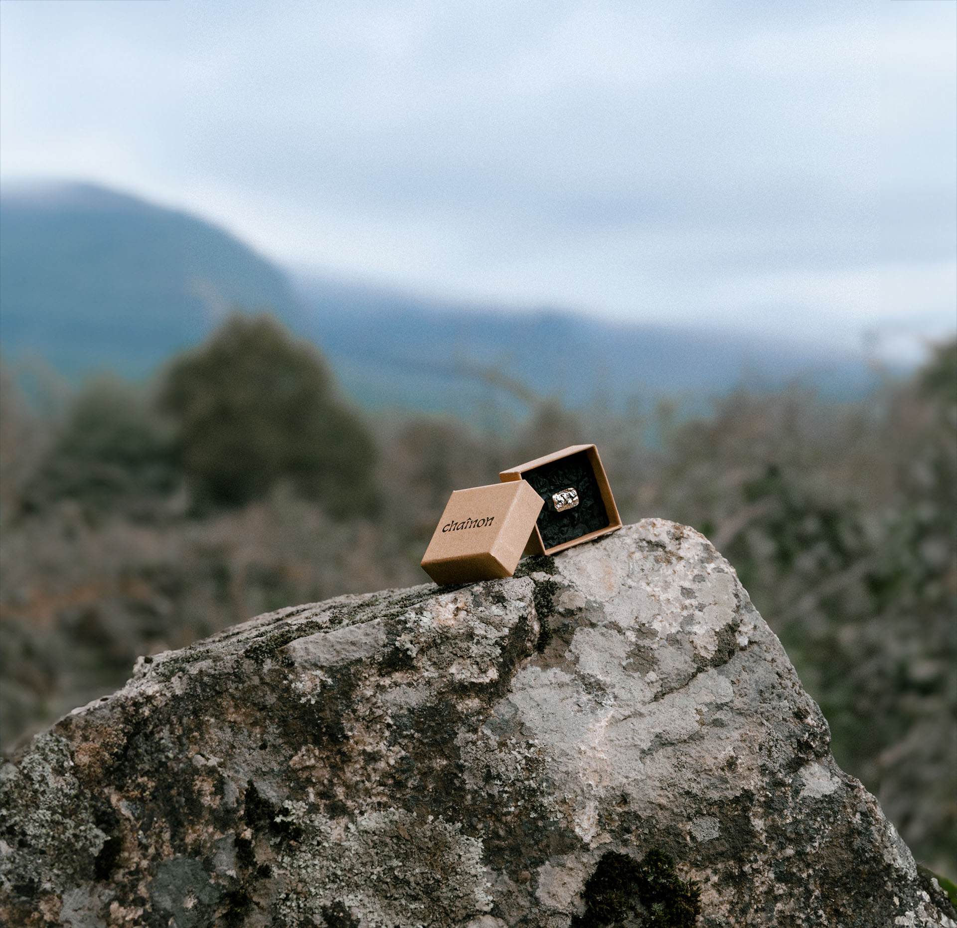 Écrin cadeau Chaînon posé sur un rocher face aux montagnes, bague montagne à offrir